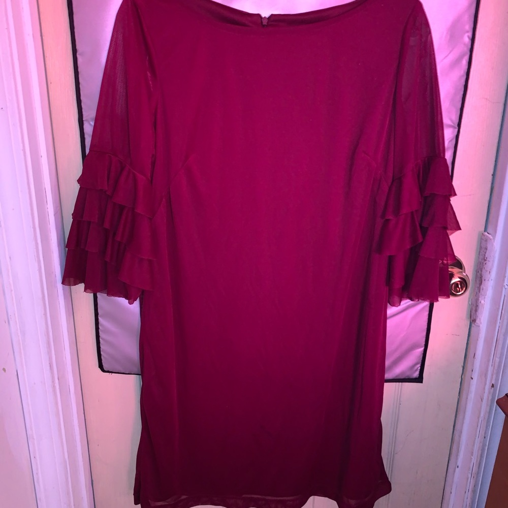 Ruffled Sleeve Dress